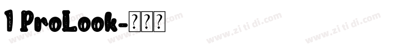 1 ProLook字体转换
